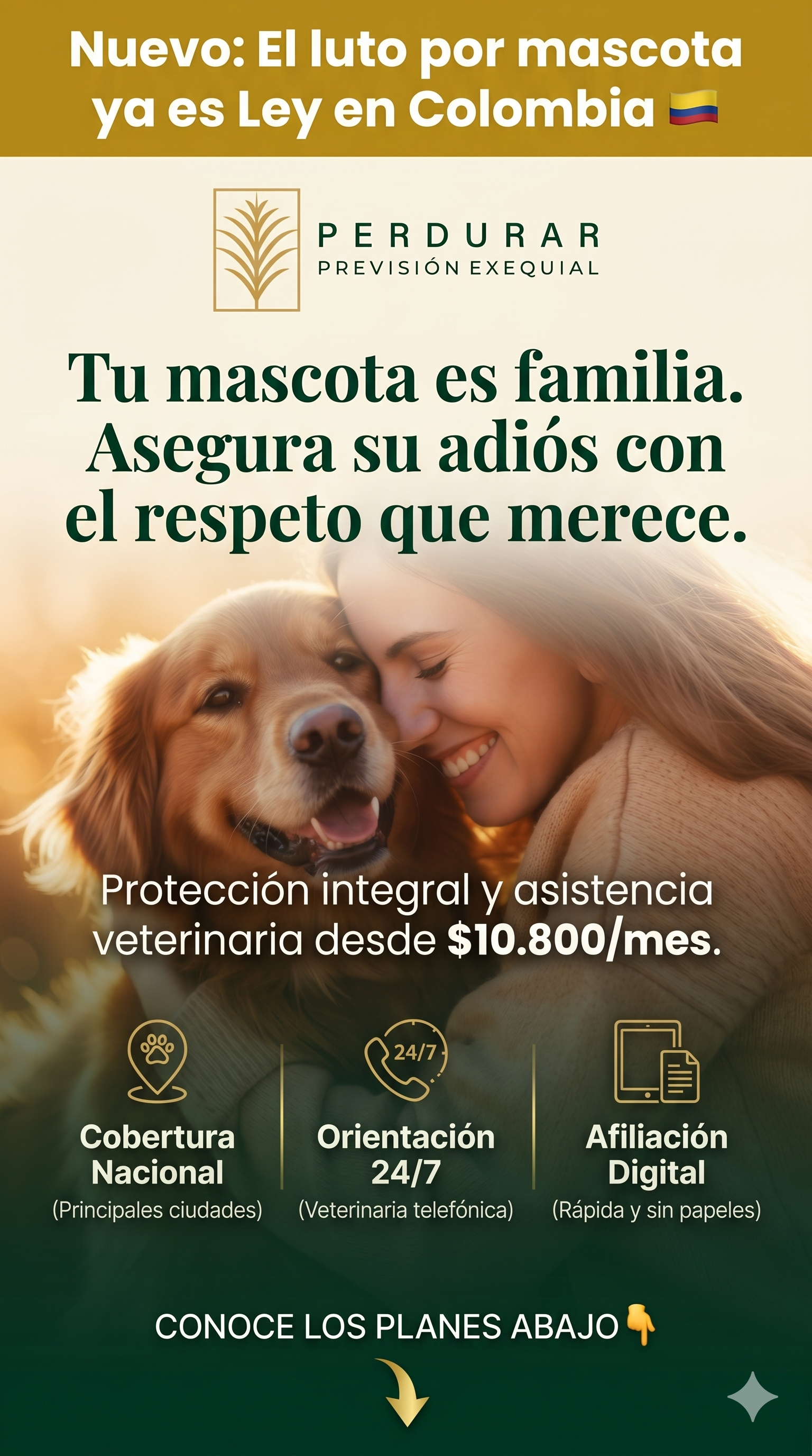 🐾 Perdurar Pet