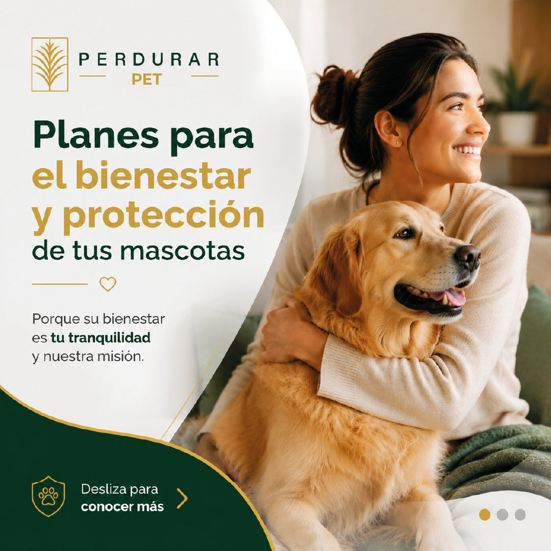 PLANES MASCOTAS - Pet Perdurar