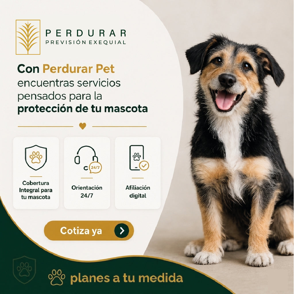 PLANES MASCOTAS - Pet Perdurar