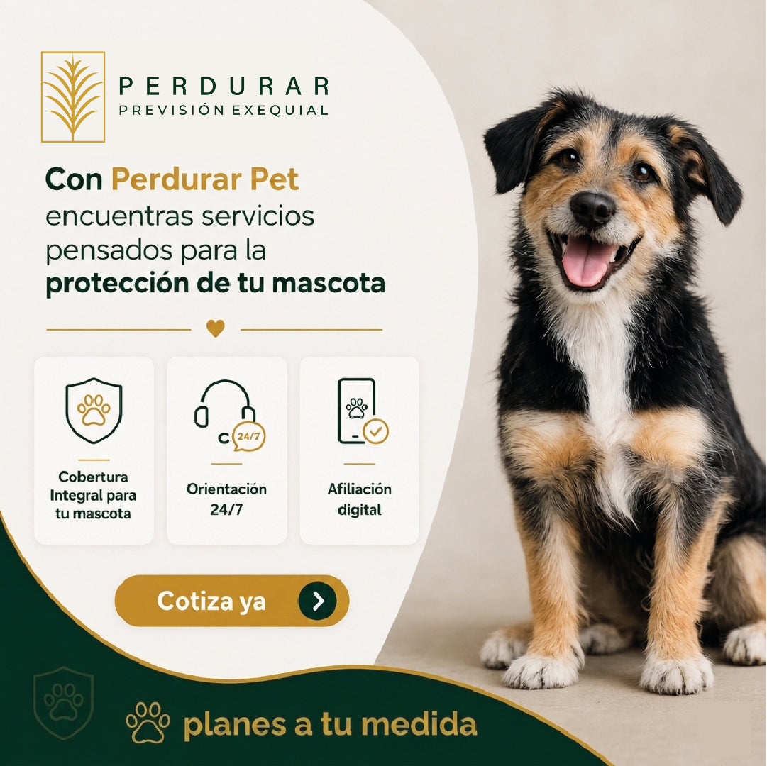 PLANES MASCOTAS - Pet Perdurar