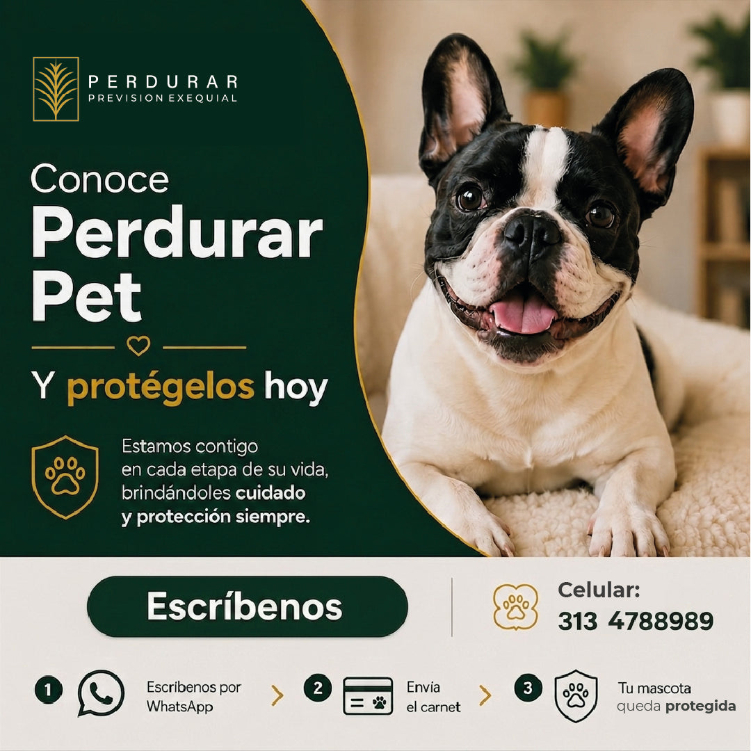 PLANES MASCOTAS - Pet Perdurar